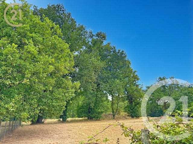 Terrain &agrave; vendre - 3853 m2 - Montpon Menesterol - 24 - AQUITAINE