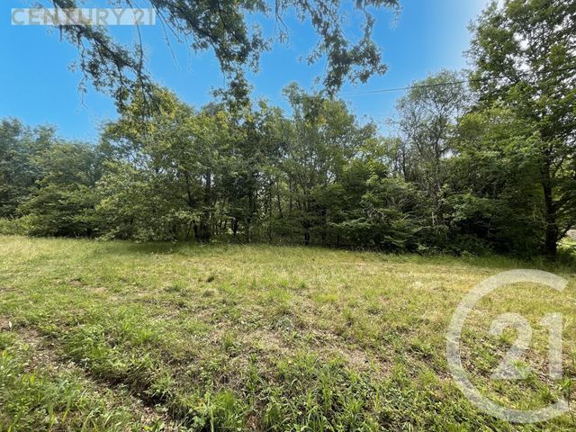 Terrain à vendre - 5452 m2 - Montpon Menesterol - 24 - AQUITAINE