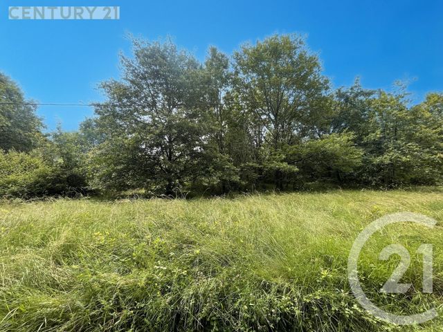 Terrain à vendre - 5452 m2 - Montpon Menesterol - 24 - AQUITAINE