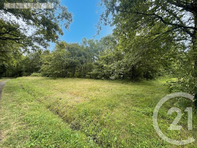 Terrain à vendre - 5452 m2 - Montpon Menesterol - 24 - AQUITAINE