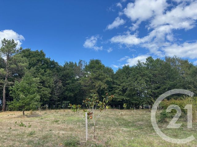 Terrain &agrave; vendre - 3400 m2 - Montpon Menesterol - 24 - AQUITAINE