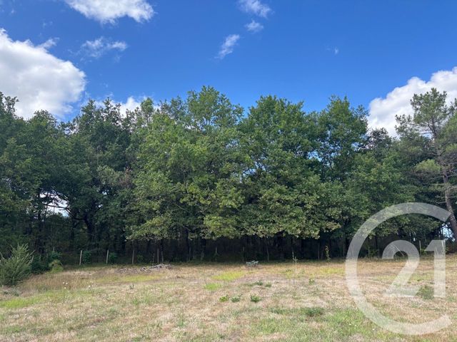 Terrain &agrave; vendre - 3400 m2 - Montpon Menesterol - 24 - AQUITAINE