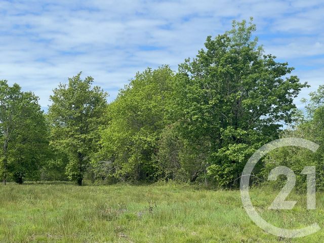 Terrain &agrave; vendre - 5174 m2 - Montpon Menesterol - 24 - AQUITAINE