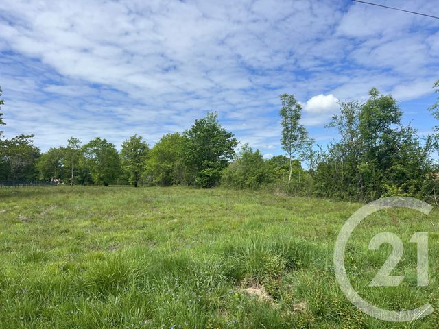 Terrain &agrave; vendre - 5174 m2 - Montpon Menesterol - 24 - AQUITAINE