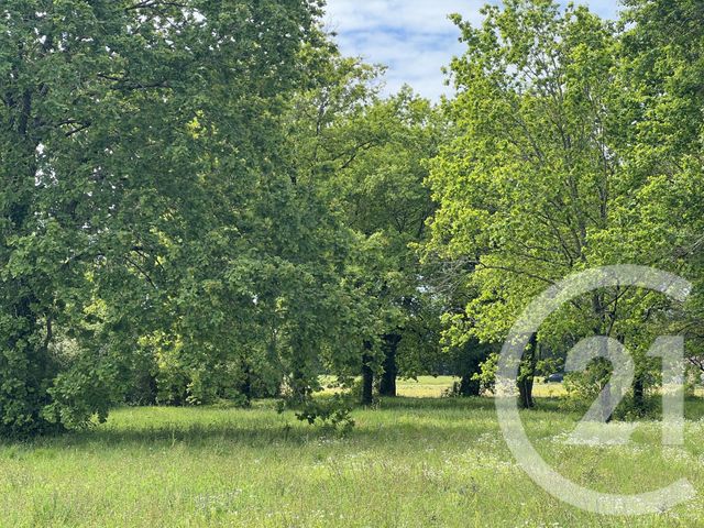 Terrain &agrave; vendre - 3447 m2 - Montpon Menesterol - 24 - AQUITAINE