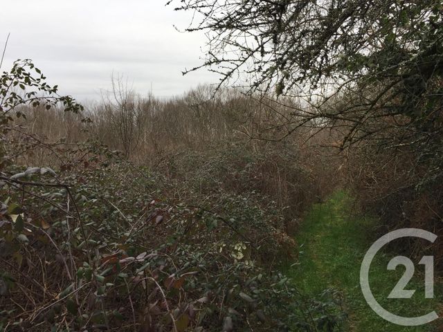 Terrain à vendre - 40623 m2 - Montpon Menesterol - 24 - AQUITAINE