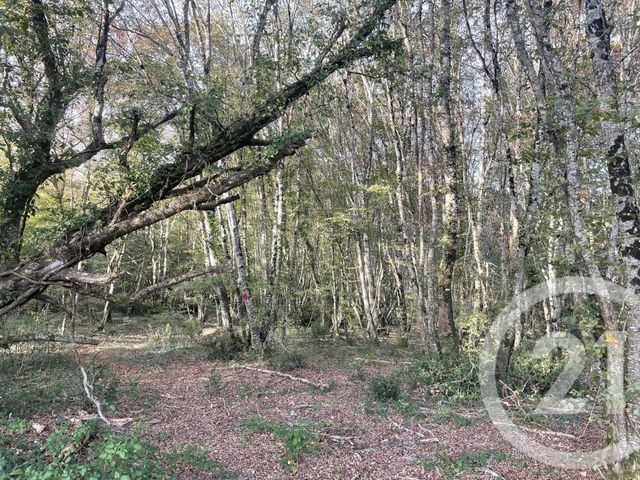 Terrain à vendre - 40623 m2 - Montpon Menesterol - 24 - AQUITAINE