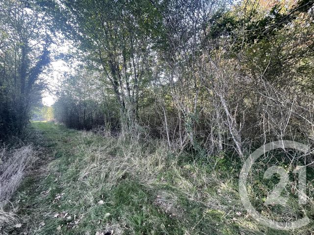 Terrain à vendre - 40623 m2 - Montpon Menesterol - 24 - AQUITAINE