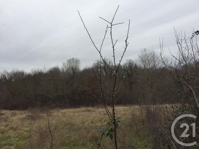 Terrain à vendre - 40623 m2 - Montpon Menesterol - 24 - AQUITAINE