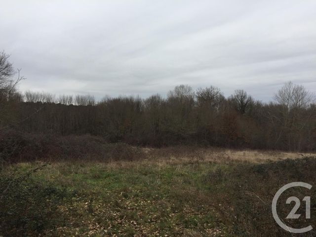 Terrain à vendre - 40623 m2 - Montpon Menesterol - 24 - AQUITAINE