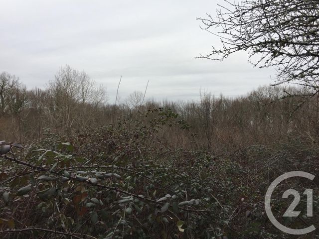 Terrain à vendre - 40623 m2 - Montpon Menesterol - 24 - AQUITAINE