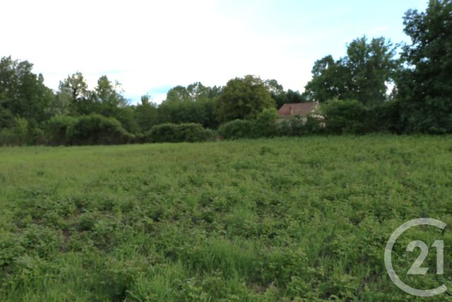 Terrain &agrave; vendre - 1771 m2 - Beauronne - 24 - AQUITAINE