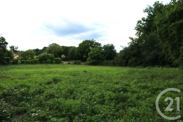 Terrain &agrave; vendre - 1771 m2 - Beauronne - 24 - AQUITAINE