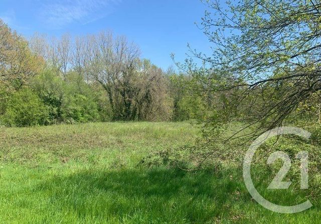 terrain - MUSSIDAN - 24