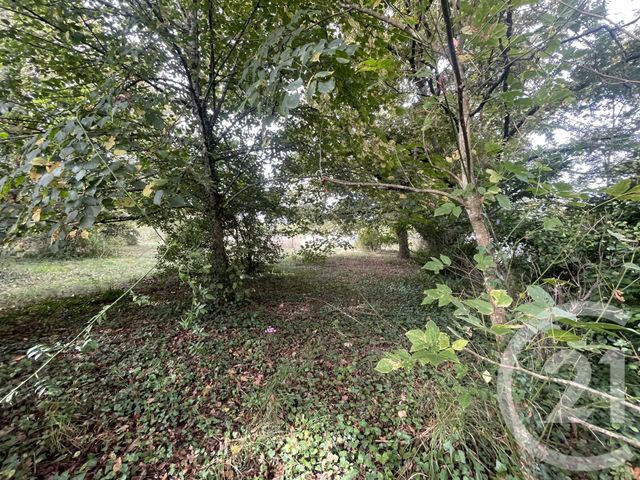 Terrain &agrave; vendre - 2491 m2 - Montpon Menesterol - 24 - AQUITAINE