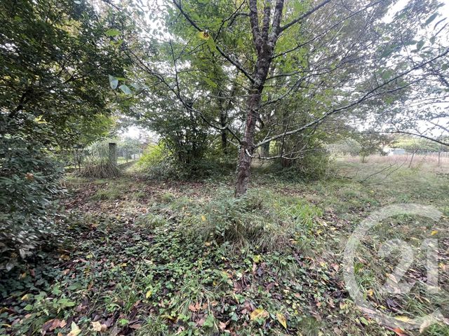 Terrain &agrave; vendre - 2491 m2 - Montpon Menesterol - 24 - AQUITAINE