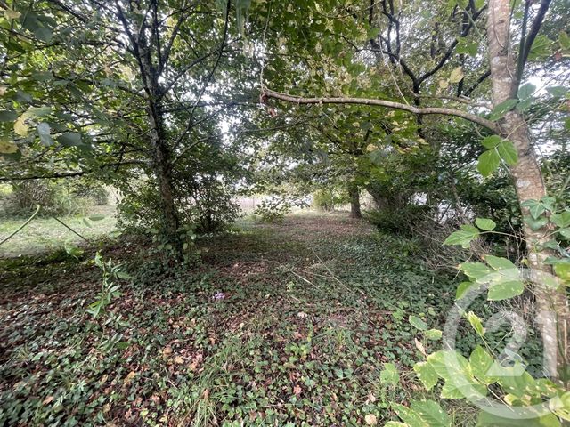 Terrain &agrave; vendre - 2491 m2 - Montpon Menesterol - 24 - AQUITAINE