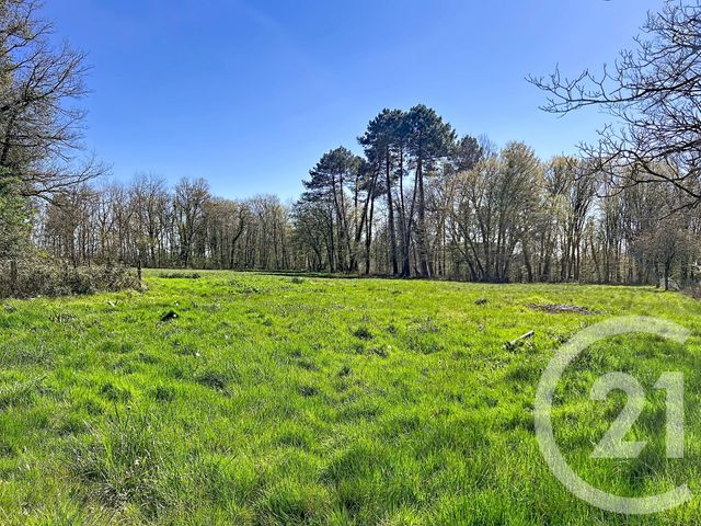 Maison &agrave; vendre - 5 pi&egrave;ces - 130 m2 - Montpon Menesterol - 24 - AQUITAINE