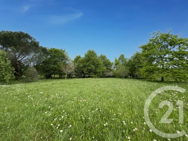 Maison &agrave; vendre - 8 pi&egrave;ces - 326 m2 - Montpon Menesterol - 24 - AQUITAINE