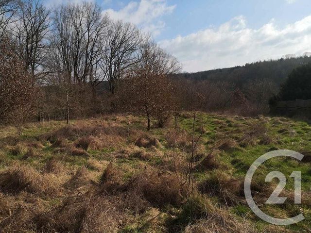 Terrain &agrave; vendre - 1561 m2 - St Hubert - 57 - LORRAINE