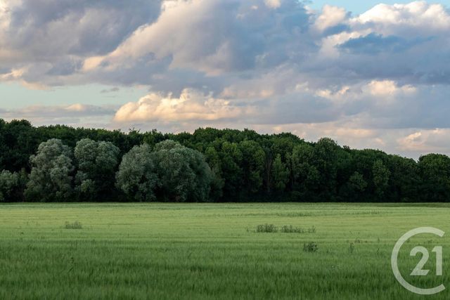 Terrain &agrave; vendre - 1561 m2 - St Hubert - 57 - LORRAINE