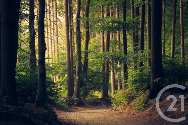 Terrain &agrave; vendre - 1831 m2 - St Hubert - 57 - LORRAINE