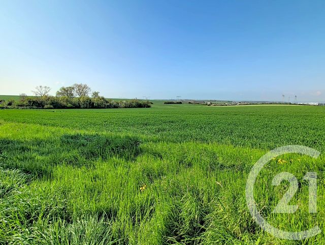 Maison &agrave; vendre - 6 pi&egrave;ces - 161 m2 - Ogy Montoy Flanville - 57 - LORRAINE