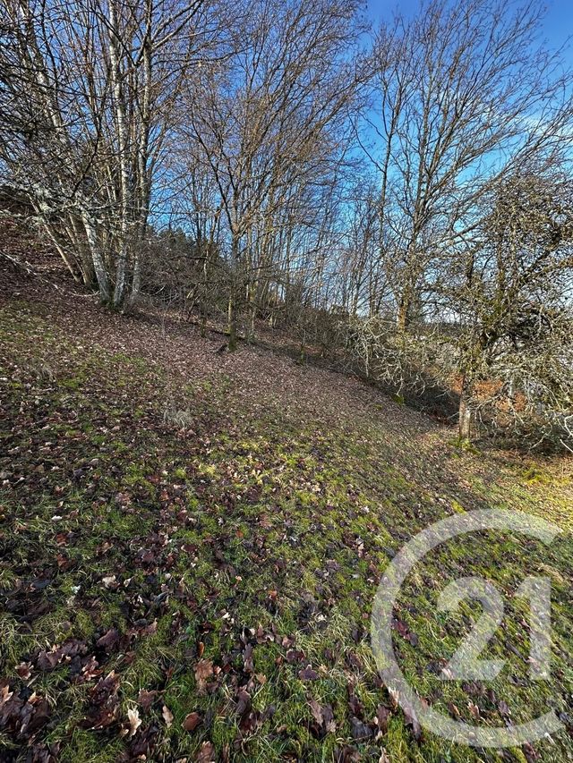 Terrain &agrave; vendre - 1526 m2 - Remiremont - 88 - LORRAINE