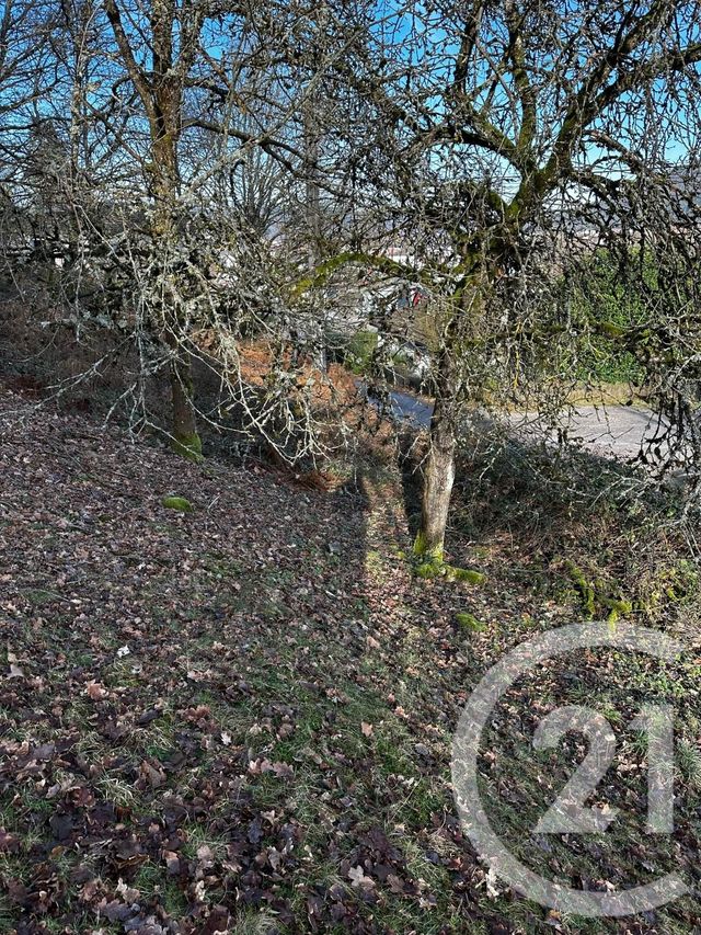 Terrain &agrave; vendre - 1526 m2 - Remiremont - 88 - LORRAINE