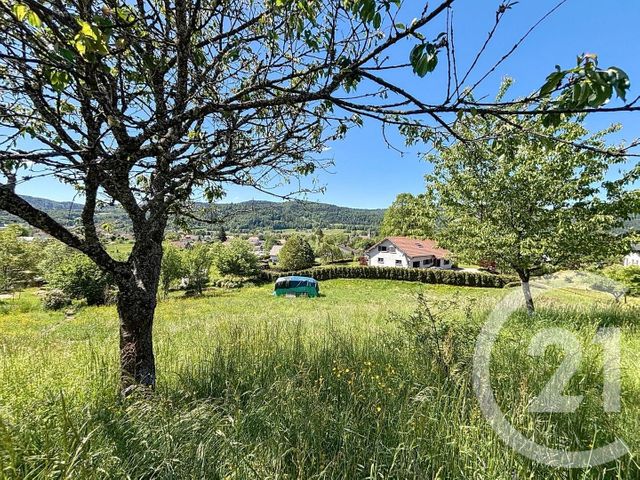 Terrain &agrave; vendre - 1083 m2 - Ramonchamp - 88 - LORRAINE