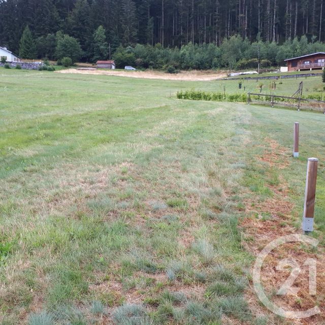 Terrain &agrave; vendre - 2866 m2 - Le Tholy - 88 - LORRAINE