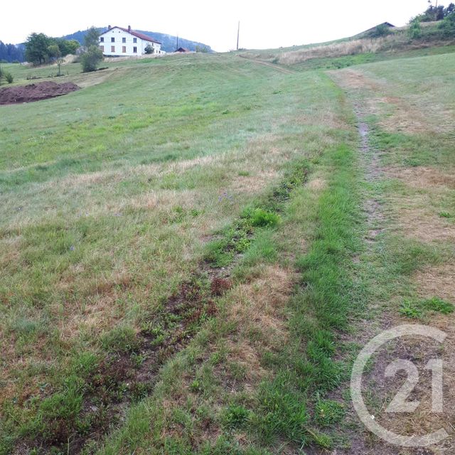 Terrain &agrave; vendre - 2866 m2 - Le Tholy - 88 - LORRAINE