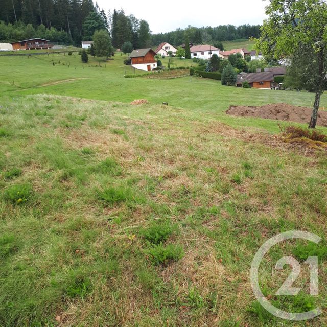 terrain - LE THOLY - 88