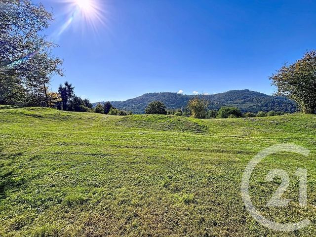 terrain - RUPT SUR MOSELLE - 88