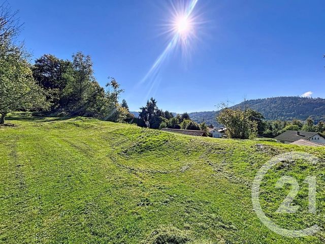 Terrain &agrave; vendre - 1972 m2 - Rupt Sur Moselle - 88 - LORRAINE