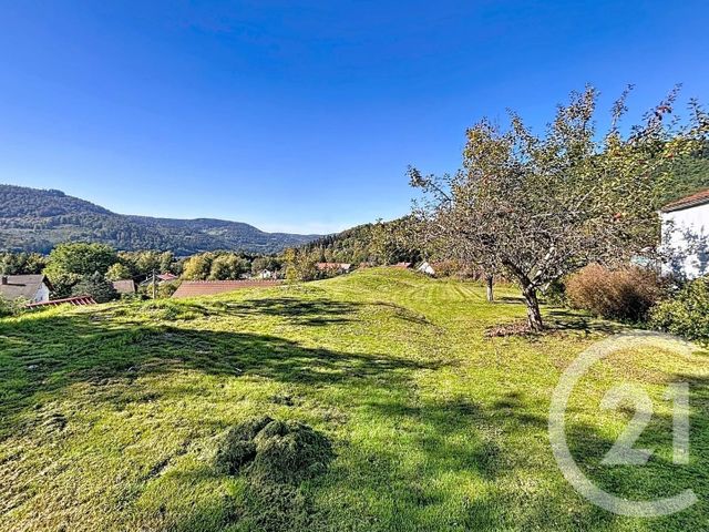Terrain &agrave; vendre - 1972 m2 - Rupt Sur Moselle - 88 - LORRAINE
