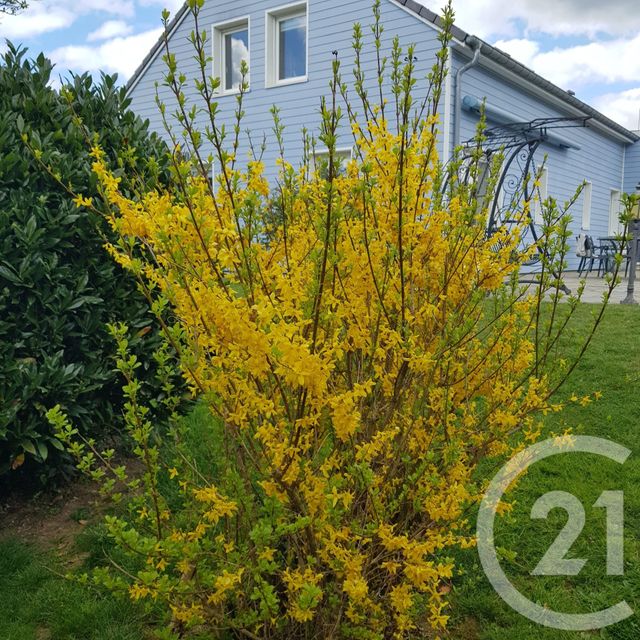 Maison &agrave; vendre - 7 pi&egrave;ces - 205,43 m2 - Raon Aux Bois - 88 - LORRAINE