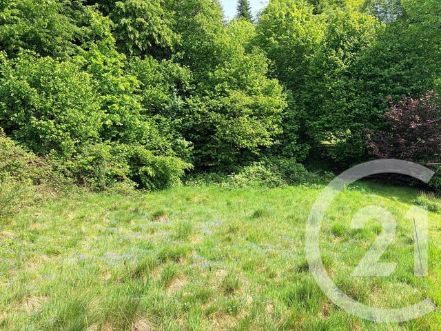 Terrain &agrave; vendre - 1352 m2 - St Etienne Les Remiremont - 88 - LORRAINE