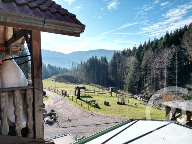Maison &agrave; vendre - 15 pi&egrave;ces - 500 m2 - Saulxures Sur Moselotte - 88 - LORRAINE