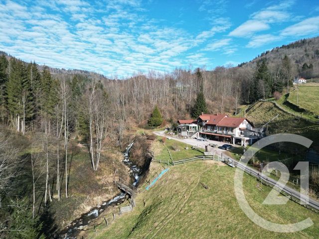Maison &agrave; vendre - 15 pi&egrave;ces - 500 m2 - Saulxures Sur Moselotte - 88 - LORRAINE