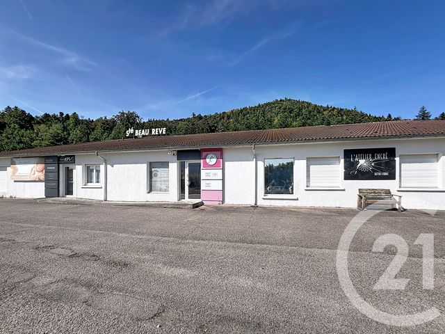 Immeuble &agrave; vendre - 1381 m2 - St Ame - 88 - LORRAINE