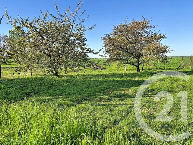 Maison &agrave; vendre - 4 pi&egrave;ces - 81,31 m2 - Gidy - 45 - CENTRE