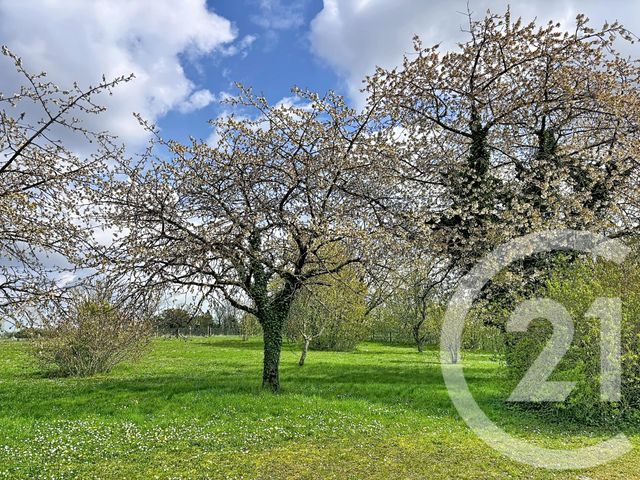 Maison &agrave; vendre - 4 pi&egrave;ces - 100,59 m2 - Meung Sur Loire - 45 - CENTRE