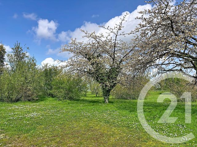 Maison &agrave; vendre - 4 pi&egrave;ces - 100,59 m2 - Meung Sur Loire - 45 - CENTRE