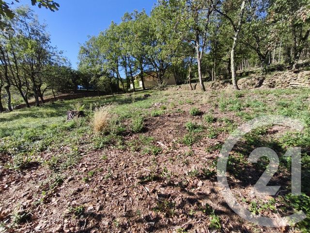 Terrain &agrave; vendre - 1205 m2 - Mercuer - 07 - RHONE-ALPES