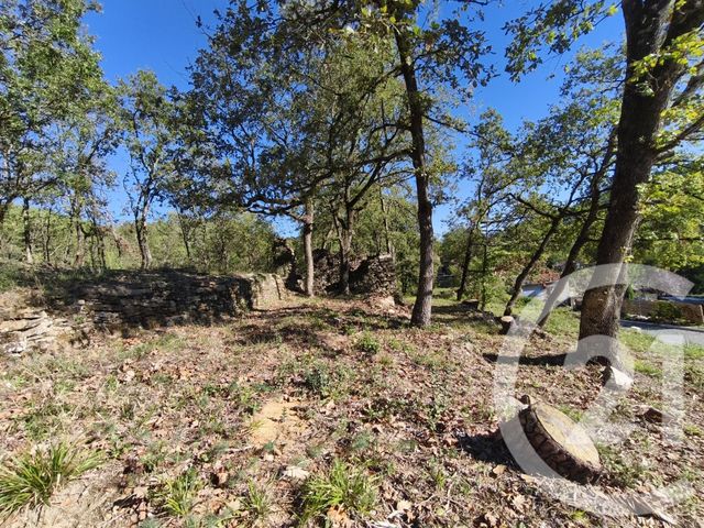 Terrain &agrave; vendre - 1572 m2 - Mercuer - 07 - RHONE-ALPES