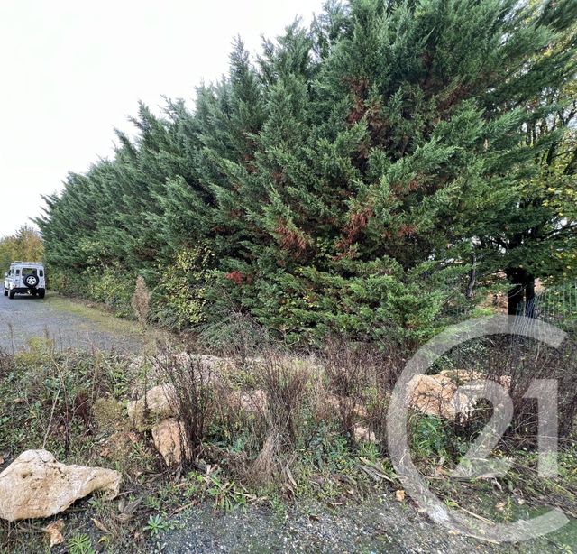 Terrain &agrave; vendre - 3000 m2 - Reignac Sur Indre - 37 - CENTRE