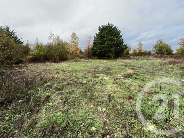 terrain - REIGNAC SUR INDRE - 37