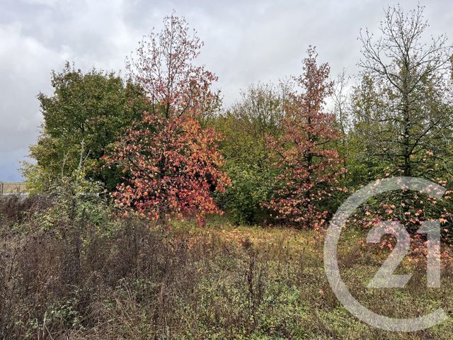 Terrain &agrave; vendre - 3000 m2 - Reignac Sur Indre - 37 - CENTRE