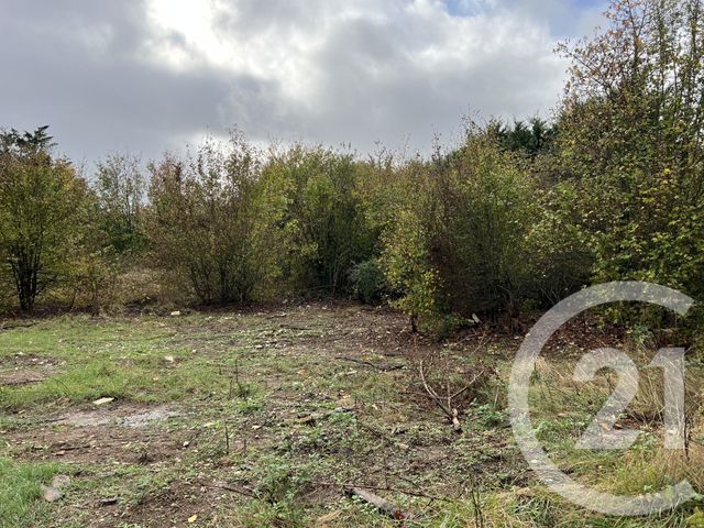 Terrain &agrave; vendre - 3000 m2 - Reignac Sur Indre - 37 - CENTRE